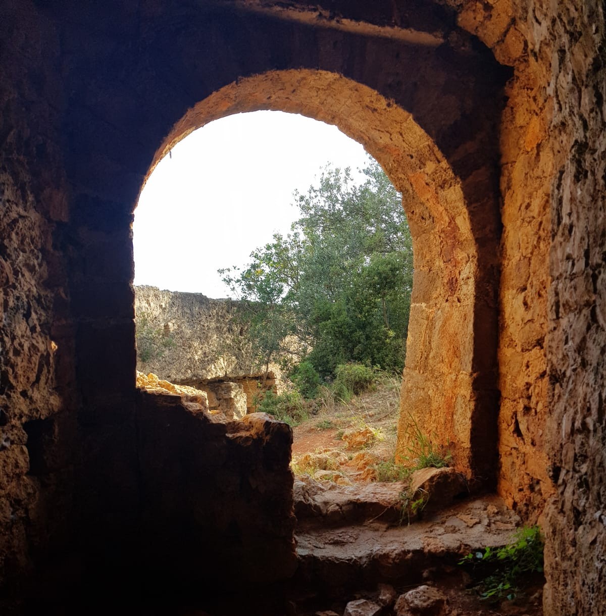 Psykoterapia